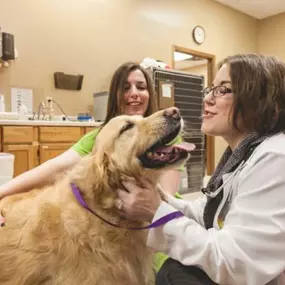 Happy animals mean happy people. Heritage Animal Hospitals full service veterinarian clinic provides a variety of services including grooming, surgical procedures, dental care and more.