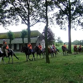 Paardensportcentrum De Kempen