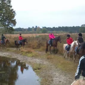 Paardensportcentrum De Kempen