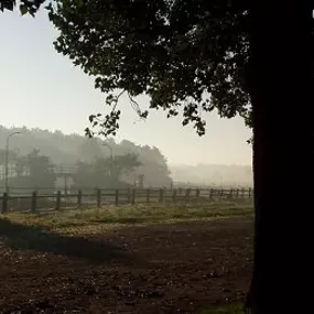 Paardensportcentrum De Kempen