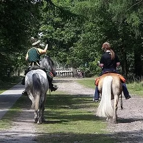 Paardensportcentrum De Kempen