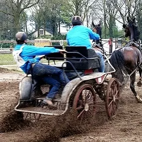 Paardensportcentrum De Kempen