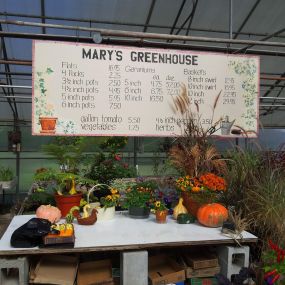 Bild von Mary's Greenhouse