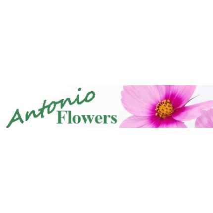 Logotipo de Antonio Flowers & Gifts