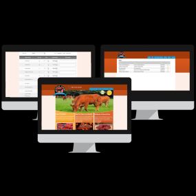 Tulsa Web Design - Beef Producer Application