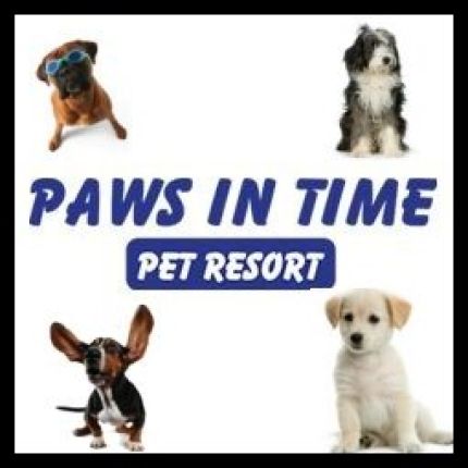 Logo de Paws In Time