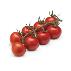De lekkerste biologische tomaten