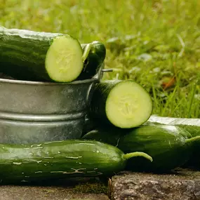 Vers van het land, komkommers. Lekker biologisch en uit de streek.