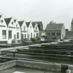 Oesterputten Yerseke 1960