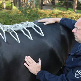 Zadel pasafspraak bij Van Rijs