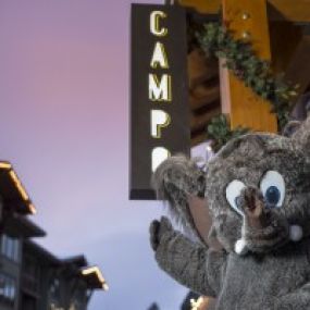Bild von Campo Mammoth