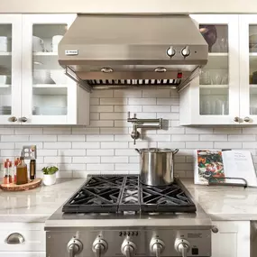 White Plant stove and kitchen area