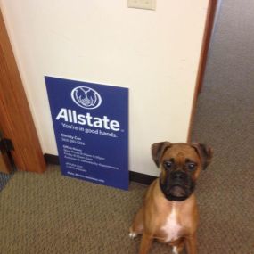 Bild von Christy Cox: Allstate Insurance