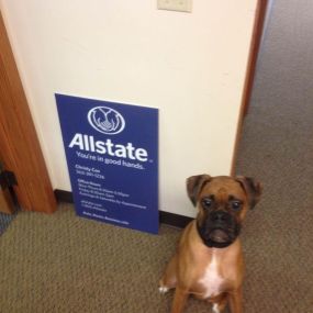 Bild von Christy Cox: Allstate Insurance