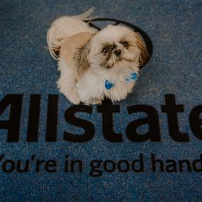 Bild von Luis Vienrich: Allstate Insurance