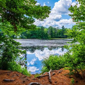 Bild von Princeton at Mill Pond