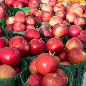 Established in 2004 as an initiative of the City of Maple Grove, the Maple Grove Farmers Market is a much loved year-round tradition in the northwest metro area.