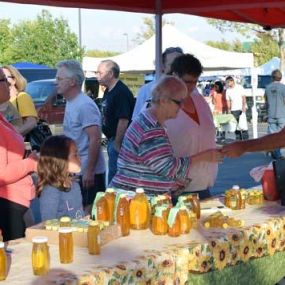 We believe in direct transaction between customer and client, and so do our vendors. They work endlessly to offer diverse produce and products that will satisfy their customers and build relationships in the community. Visit the Maple Grove Farmers Market today to learn more!