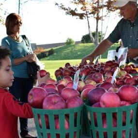 At the Maple Grove Farmers Market, you can truly get a taste everything that’s in season. From strawberries in early summer, to apples in fall, we’ve got it all.