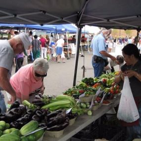 Our vendors truly believe that their hard work is dedicated and driven by three things – its all about the family, the fun, and the fresh produce. Our local visitors, and vendors, love the community driven experience, and truly enjoy everything the Maple Grove Farmers Market has to offer.