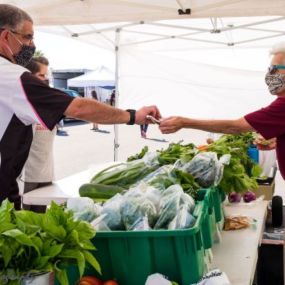 The Maple Grove Farmers Market serves as a gathering place to purchase vendor-grown produce and vendor-made specialty foods and consumable items.