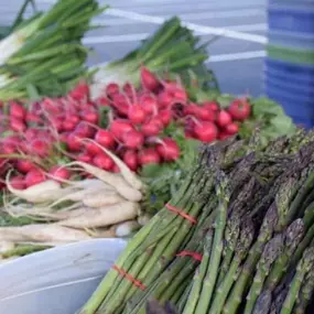 Looking for fresh vegetables and fruits? Stop by at the Maple Grove Farmers Market for a large selection of strawberries, blueberries, mushrooms, squash, pumpkins, and more!