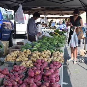 At the Maple Grove Farmers Market, our vendors are truly dedicated to providing the most natural, tastiest, and fresh produce possible. Their produce is harvested 12-24 hours before being presented to customers, guaranteeing the freshest produce possible.