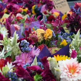 At the Maple Grove Farmers Market, there is a large variety of beautiful – seasonal bouquets available. These bouquets can fit any occasion, and smell just as wonderful as they look. Come and visit us today to experience the full outdoor market!