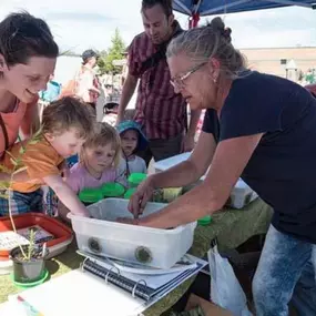 There is truly a large variety at the Maple Grove Farmers Market, inclduing Butterfly Memories. Visit us and pick out your very own caterpillar!