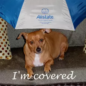 Bild von David Pence: Allstate Insurance