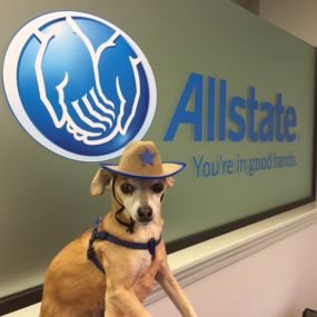 Bild von George Carranza: Allstate Insurance