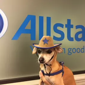 Bild von George Carranza: Allstate Insurance