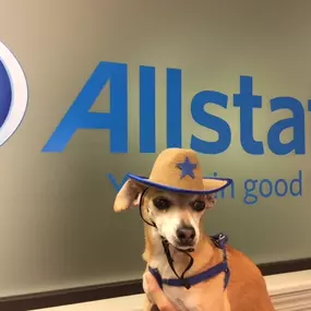 Bild von George Carranza: Allstate Insurance