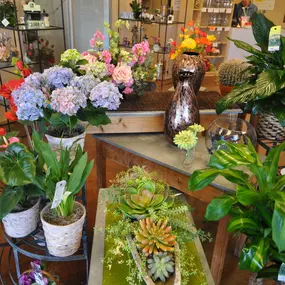 Bild von Peoples Flower Shops Nob Hill Location