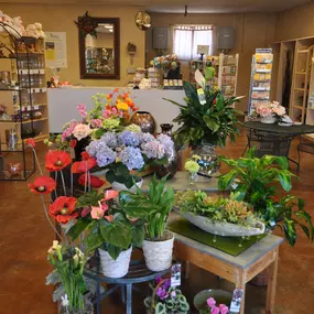 Bild von Peoples Flower Shops Nob Hill Location