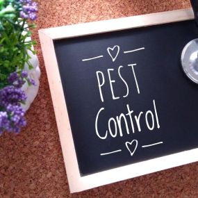 The best pest control digital marketing company, websites, SEO and more.