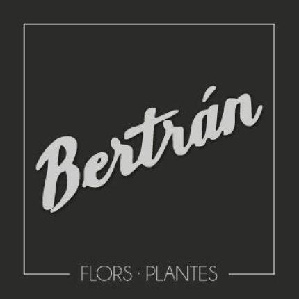 Logo fra Flors I Plantes Bertran