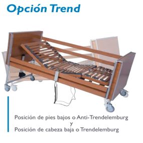 cama-articulada-ortosalnés1.jpg