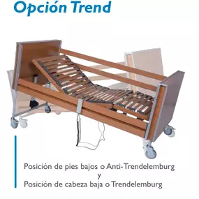 cama-articulada-ortosalnés1.jpg