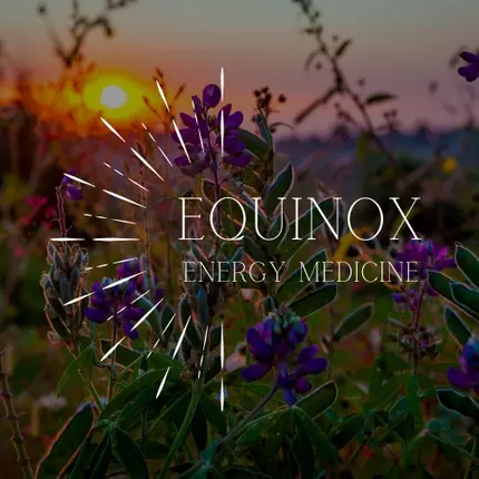 Logo von Equinox Energy Medicine LLC