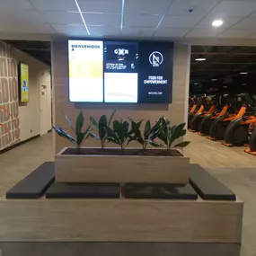 Bild von Basic-Fit Torrejón de Ardoz Calle Hilados