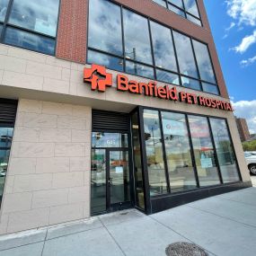 Bild von Banfield Pet Hospital