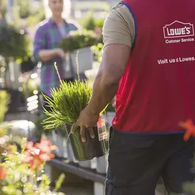 Close up of Lowe's employee holding plant in the Garden Center.
