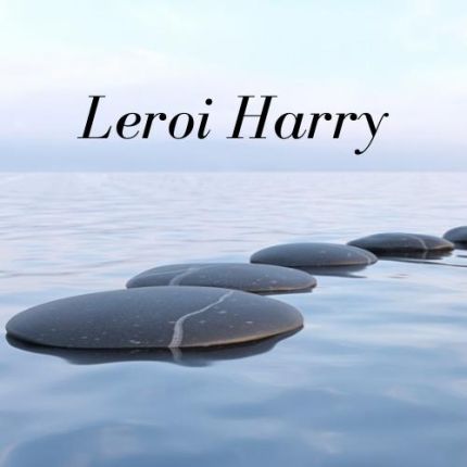 Logotyp från Leroi Harry