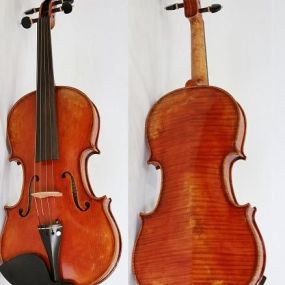 Violin