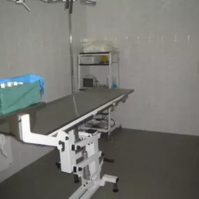 Bild von Veterinární lékař - Novotný Luděk MVDr.