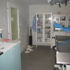 Bild von Veterinární lékař - Novotný Luděk MVDr.