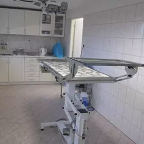 Bild von Veterinární lékař - Novotný Luděk MVDr.