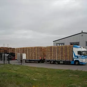 Spruijt Pallethandel