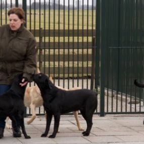 Dierenpension Het Polderland